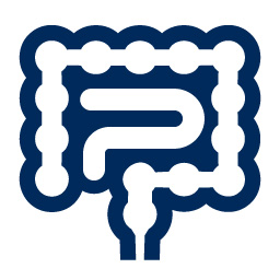 Intestines Icon 1 – ICON GRAPHICA