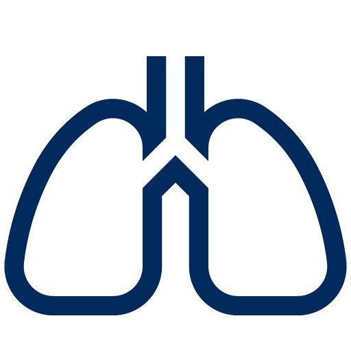 肺のアイコン1